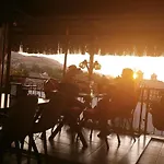 Ena Serenity Boutique Ephesus *